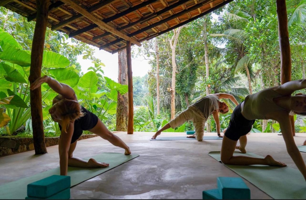 Into The Blue - Yoga Included & Walk To 3 Beaches 탕갈레 외부 사진
